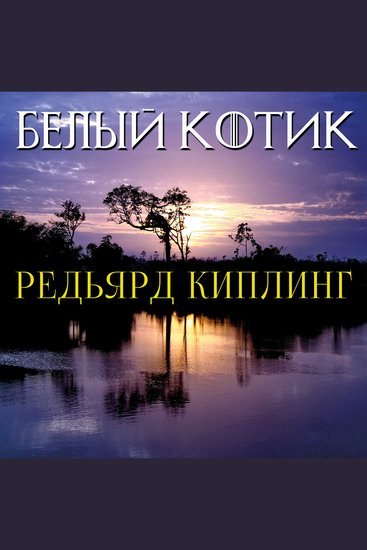 Белый котик - cover