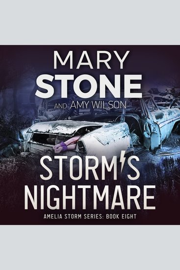 Storm's Nightmare - cover