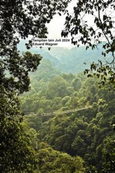 Tampilan lainnya Juli 2024 - cover