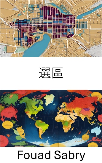 選區 - 繪製現代民主國家的代表權與權力圖 - cover