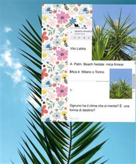 A Palm Beach l'estate mica finisce Mica è Milano o Torino - cover