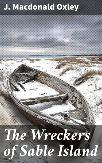 The Wreckers of Sable Island - A Maritime Tale of Survival and Intrigue - cover