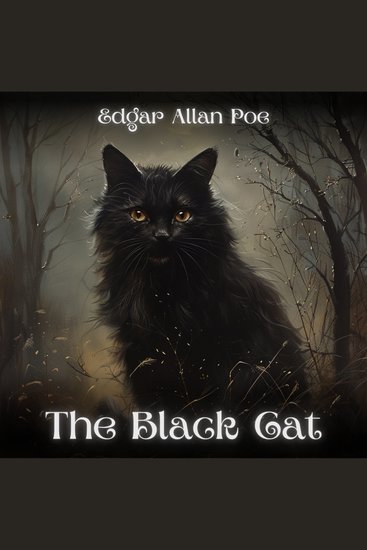 The Black Cat - cover