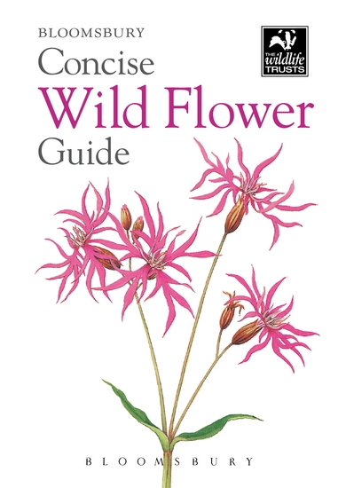 Concise Wild Flower Guide - cover