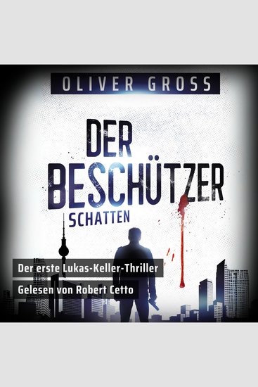 Der Beschützer: Schatten - cover