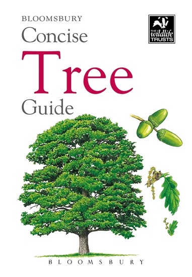 Concise Tree Guide - cover