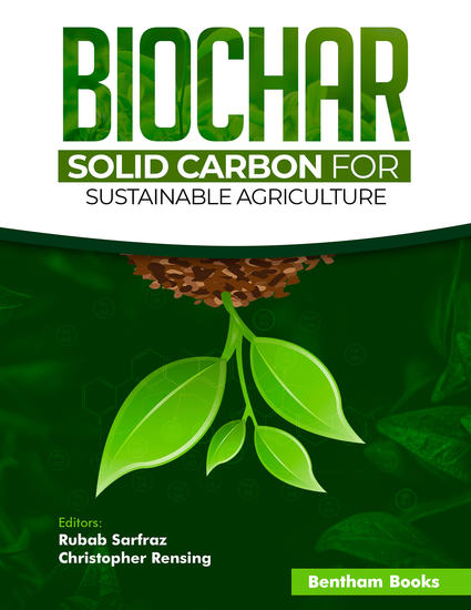 Biochar - Solid Carbon for Sustainable Agriculture - cover