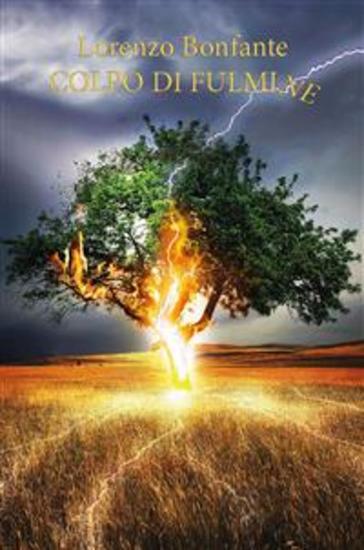 Colpo di fulmine - cover
