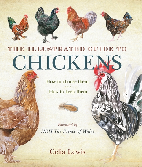 The Illustrated Guide to Chickens - How To Choose Them - How To Keep Them - cover