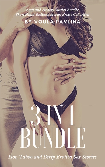 3 in 1 Bundle - Hot Taboo and Dirty Erotica Sex Stories - cover