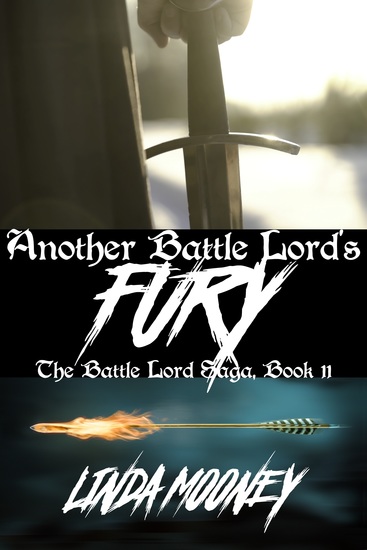 Another Battle Lord’s Fury - cover