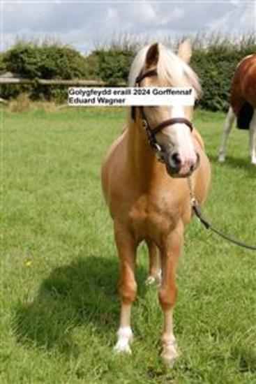 Golygfeydd eraill Gorffennaf 2024 - cover