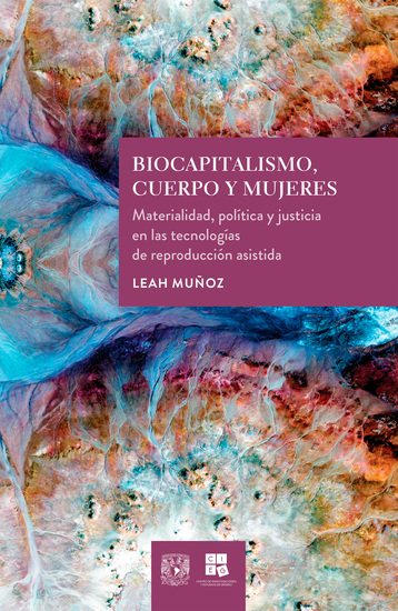 Biocapitalismo cuerpo y mujeres - Materialidad política y justicia en las tecnologías de reproducción asistida - cover