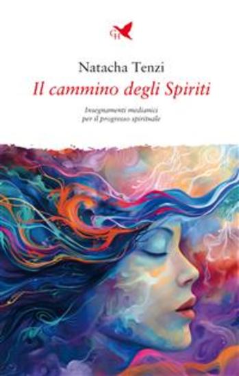 Il cammino degli Spiriti - cover