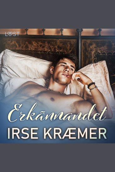 Erkännandet - erotisk novell - cover