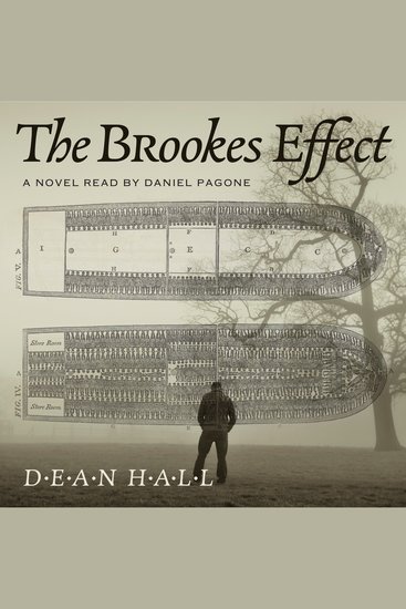 The Brookes Effect - Unmasking the forces that fueled the nearly 400 year Transatlantic African slave trade - cover