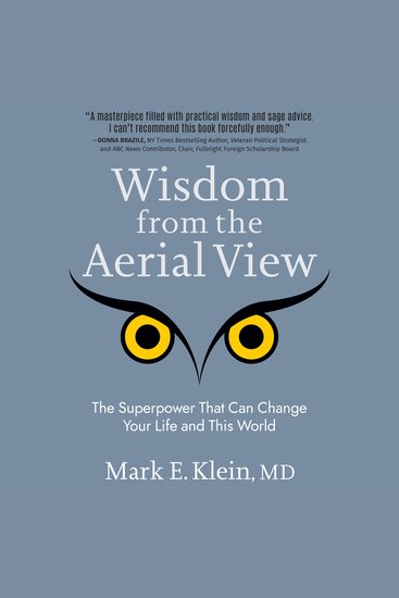 Wisdom from the Aerial View - The Superpower That Can Change Your Life and This World - cover