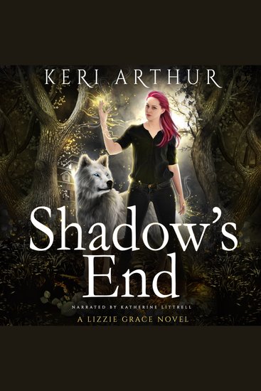 Shadow's End - cover