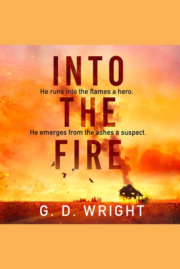 Into the Fire: Your next crime obsession… ‘Relentlessly pacy gripping and deeply moving’ LISA JEWELL - cover