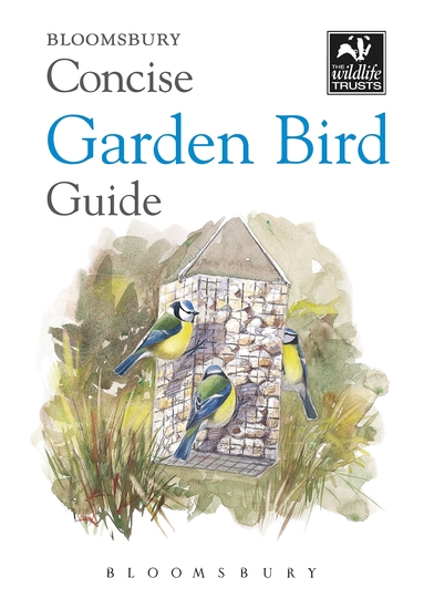 Concise Garden Bird Guide - cover