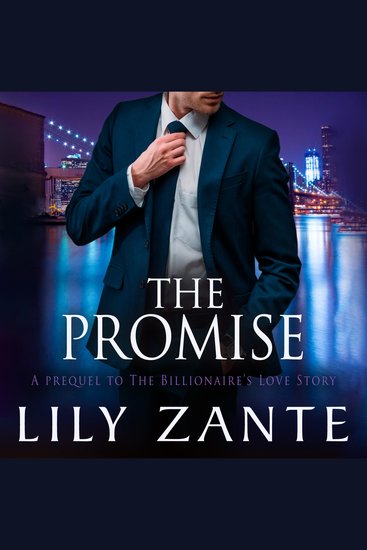 The Promise - Prequel to The Billionaire's Love Story - cover