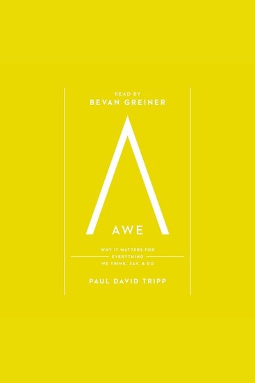Awe - Why It Matters for Everything We Think Say and Do - cover