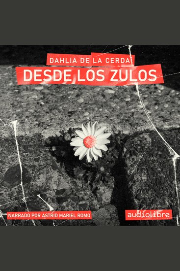 Desde los zulos - cover