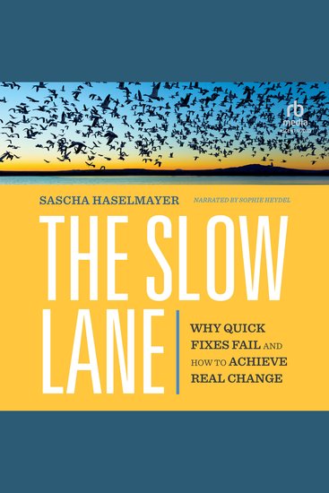The Slow Lane - Why Quick Fixes Fail and How to Achieve Real Change - cover