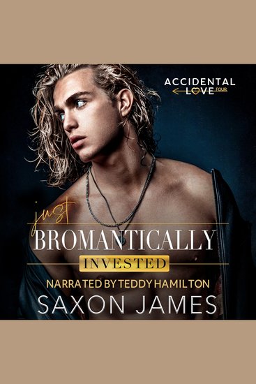 Just Bromantically Invested - cover
