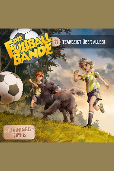 Die Fussballbande Folge 11: Teamgeist über alles! - cover