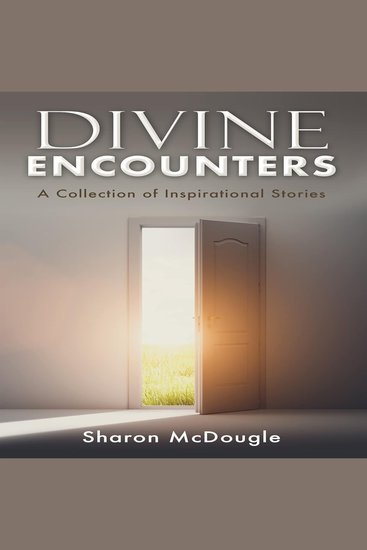 DIVINE ENCOUNTERS - A Collection of Inspirational Stories - cover