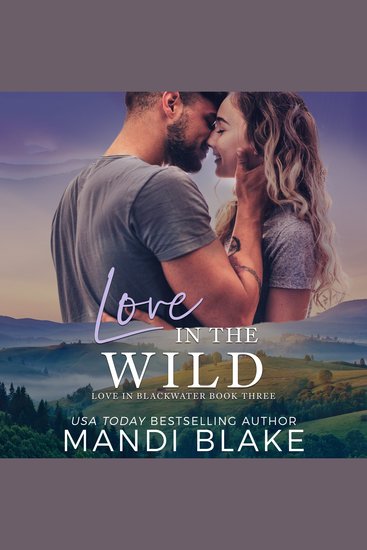 Love in the Wild - A Small Town Christian Romance - cover