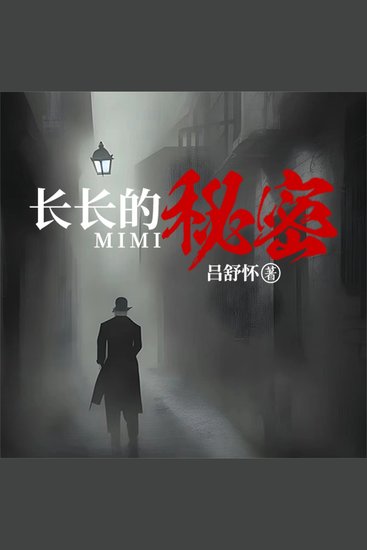 长长的秘密 - cover
