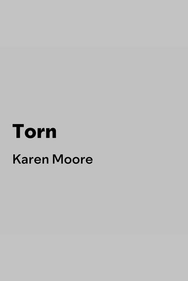 Torn - Book 1 - cover