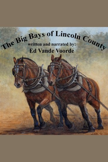 The Big Bays of Lincoln County - cover
