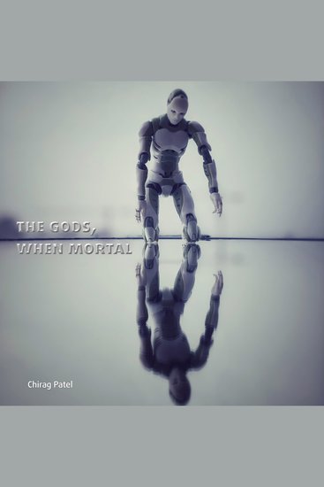 The Gods When Mortal - The Future Begins (2020-2042) - cover