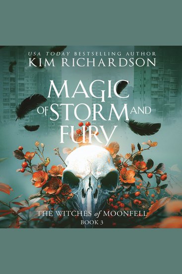 Magic of Storm and Fury - cover