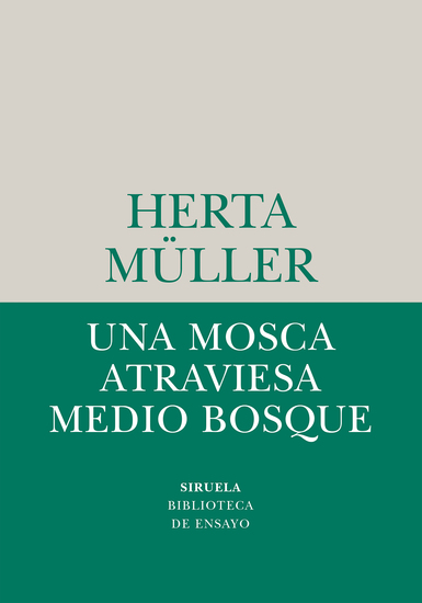 Una mosca atraviesa medio bosque - cover
