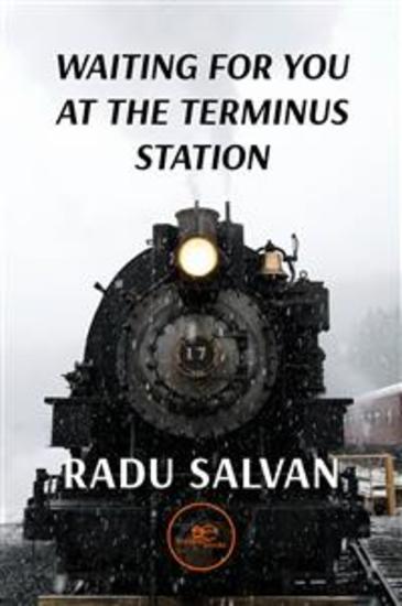 Waiting for you at the terminus station - cover