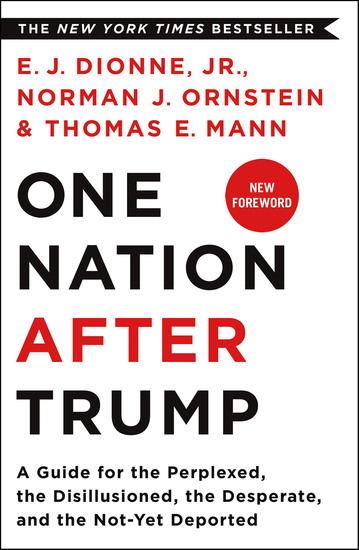 One Nation After Trump - A Guide for the Perplexed the Disillusioned the Desperate and the Not-Yet Deported - cover