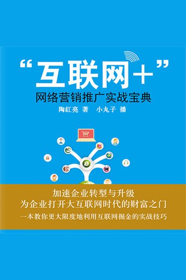 互联网：网络营销推广实战宝典 - cover