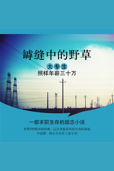 罅缝中的野草：大专生，照样年薪三十万 - cover