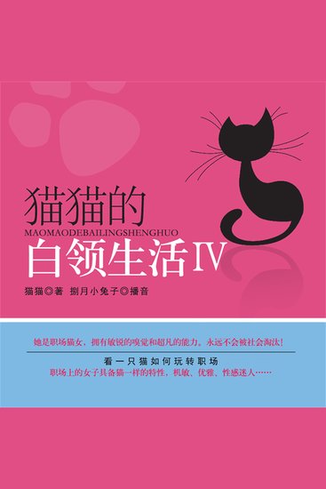 猫猫的白领生活ⅳ - cover