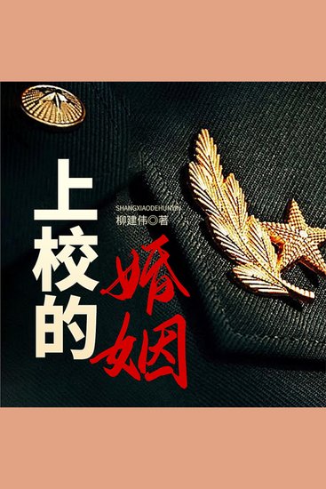 上校的婚姻 - cover