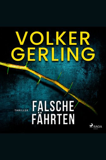 Falsche Fährten - Thriller - cover