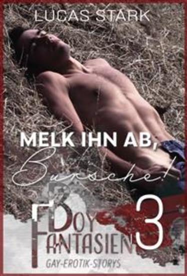 Melk ihn ab Bursche! - Boy Fantasien 3 (Gay-Erotik-Storys) - cover