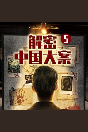 解密中国大案5 - cover