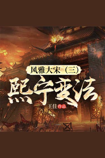 风雅大宋（三）：熙宁变法 - cover