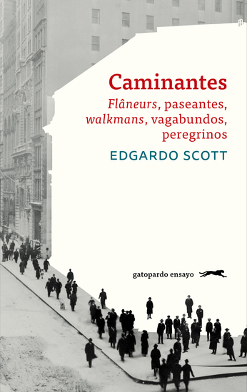Caminantes - Flâneurs paseantes walkmans vagabundos peregrinos - cover