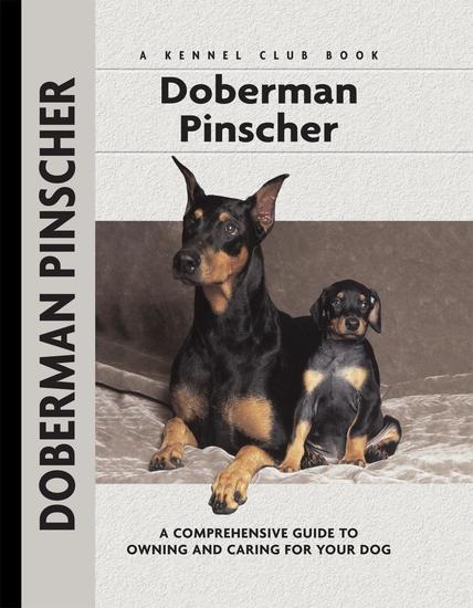 Doberman Pinscher - cover